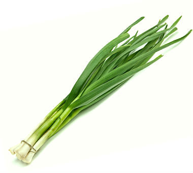 Green Garlic bunch